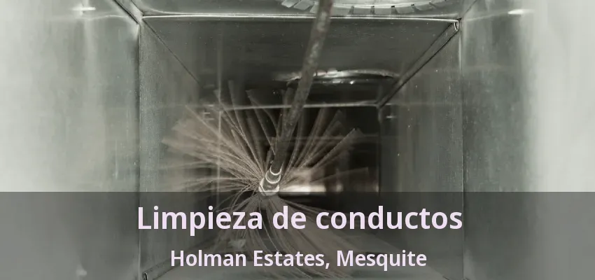 Limpieza de conductos Holman Estates, Mesquite - TX