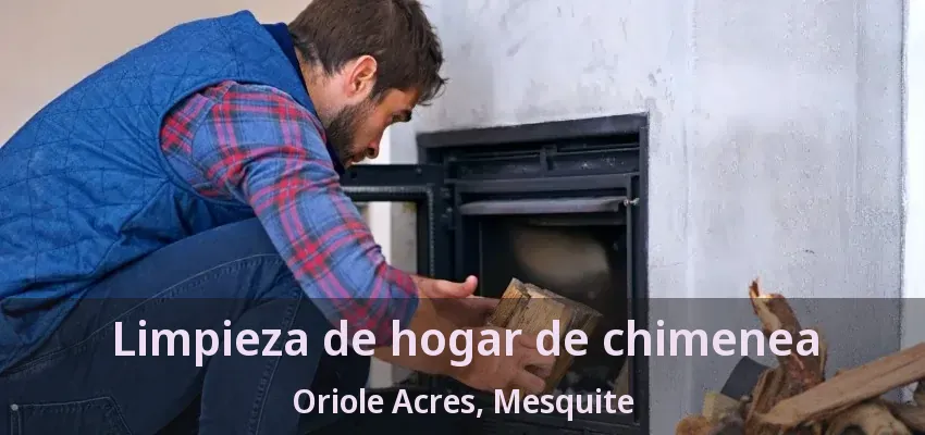 Limpieza de hogar de chimenea Oriole Acres, Mesquite - TX Limpieza de hogar de chimenea Oriole Acres, Mesquite - TX