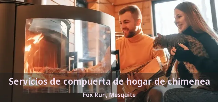 Servicios de compuerta de hogar de chimenea Fox Run, Mesquite - TX Servicios de compuerta de hogar de chimenea Fox Run, Mesquite - TX