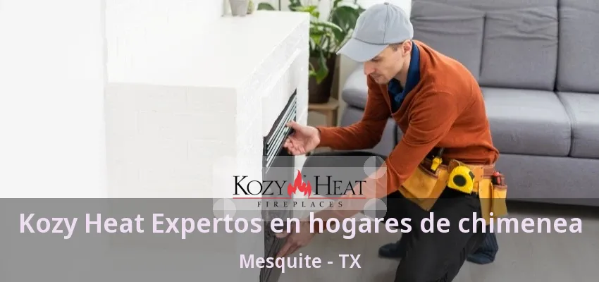 Kozy Heat Expertos en hogares de chimenea Mesquite - TX