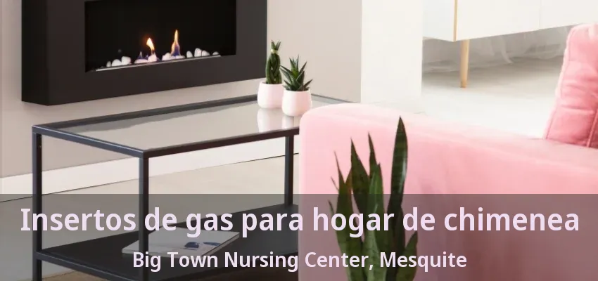 Insertos de gas para hogar de chimenea Big Town Nursing Center, Mesquite - TX