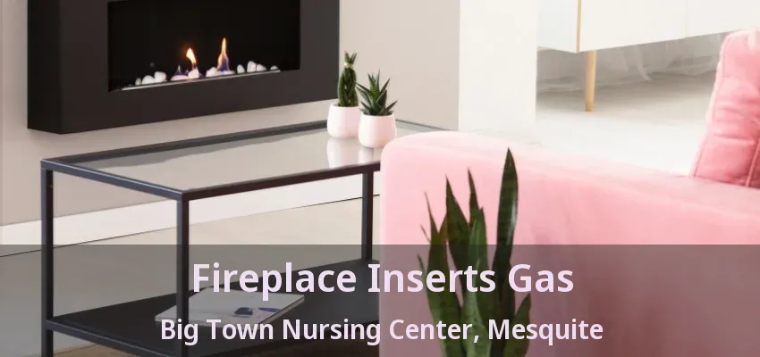 Fireplace Inserts Gas Big Town Nursing Center, Mesquite - TX Fireplace Inserts Gas Big Town Nursing Center, Mesquite - TX