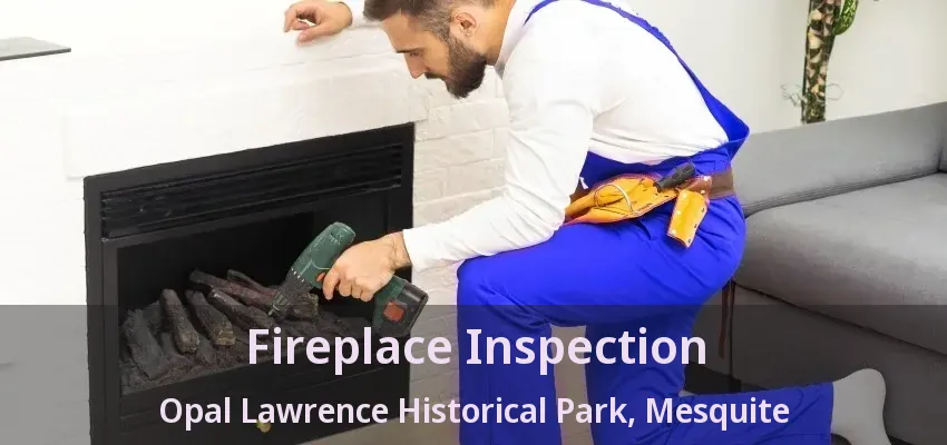 Fireplace Inspection Opal Lawrence Historical Park, Mesquite - TX Fireplace Inspection Opal Lawrence Historical Park, Mesquite - TX