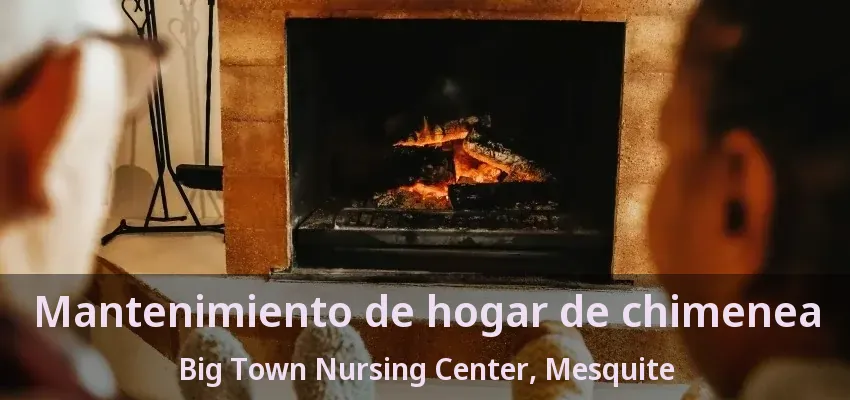 Mantenimiento de hogar de chimenea Big Town Nursing Center, Mesquite - TX