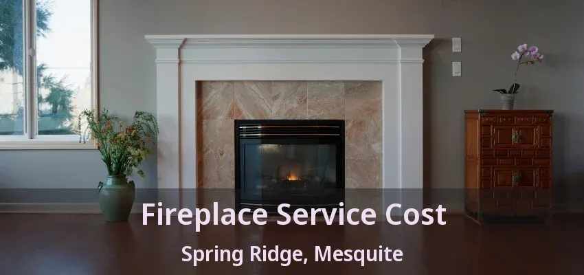 Fireplace Service Cost Spring Ridge, Mesquite - TX