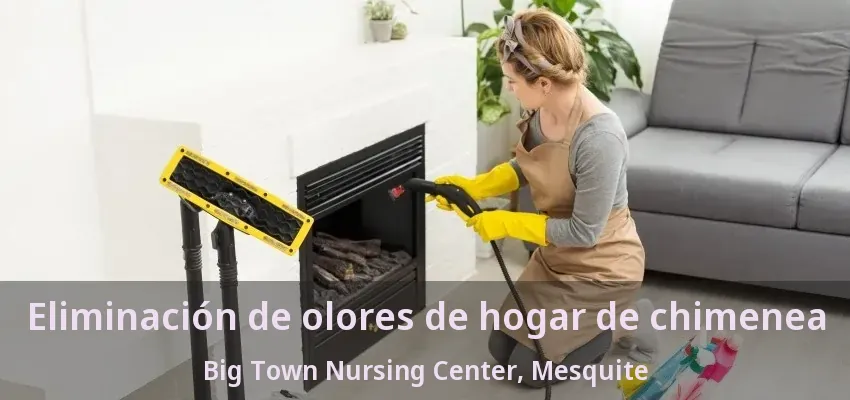 Eliminación de olores de hogar de chimenea Big Town Nursing Center, Mesquite - TX Eliminación de olores de hogar de chimenea Big Town Nursing Center, Mesquite - TX