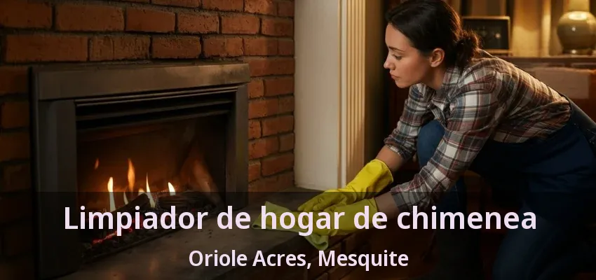 Limpiador de hogar de chimenea Oriole Acres, Mesquite - TX Limpiador de hogar de chimenea Oriole Acres, Mesquite - TX