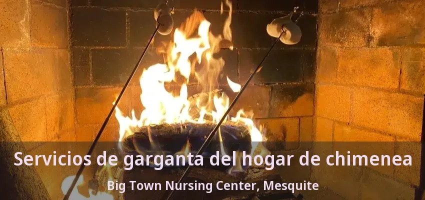 Servicios de garganta del hogar de chimenea Big Town Nursing Center, Mesquite - TX Servicios de garganta del hogar de chimenea Big Town Nursing Center, Mesquite - TX