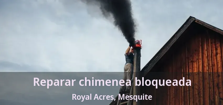 Reparar chimenea bloqueada Royal Acres, Mesquite - TX