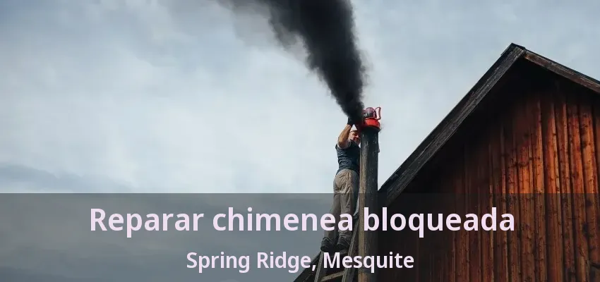 Reparar chimenea bloqueada Spring Ridge, Mesquite - TX Reparar chimenea bloqueada Spring Ridge, Mesquite - TX