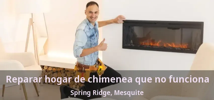 Reparar hogar de chimenea que no funciona Spring Ridge, Mesquite - TX