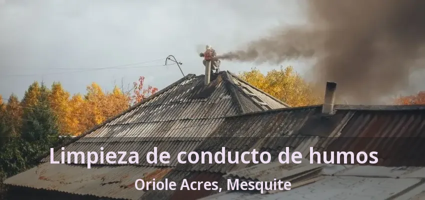 Limpieza de conducto de humos Oriole Acres, Mesquite - TX Limpieza de conducto de humos Oriole Acres, Mesquite - TX