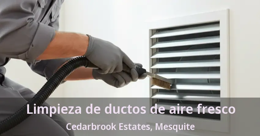 Limpieza de ductos de aire fresco Cedarbrook Estates, Mesquite - TX Limpieza de ductos de aire fresco Cedarbrook Estates, Mesquite - TX