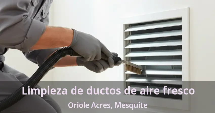 Limpieza de ductos de aire fresco Oriole Acres, Mesquite - TX Limpieza de ductos de aire fresco Oriole Acres, Mesquite - TX