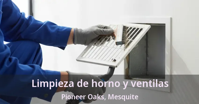 Limpieza de horno y ventilas Pioneer Oaks, Mesquite - TX Limpieza de horno y ventilas Pioneer Oaks, Mesquite - TX