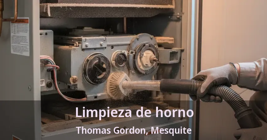 Limpieza de horno Thomas Gordon, Mesquite - TX