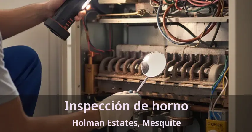Inspección de horno Holman Estates, Mesquite - TX
