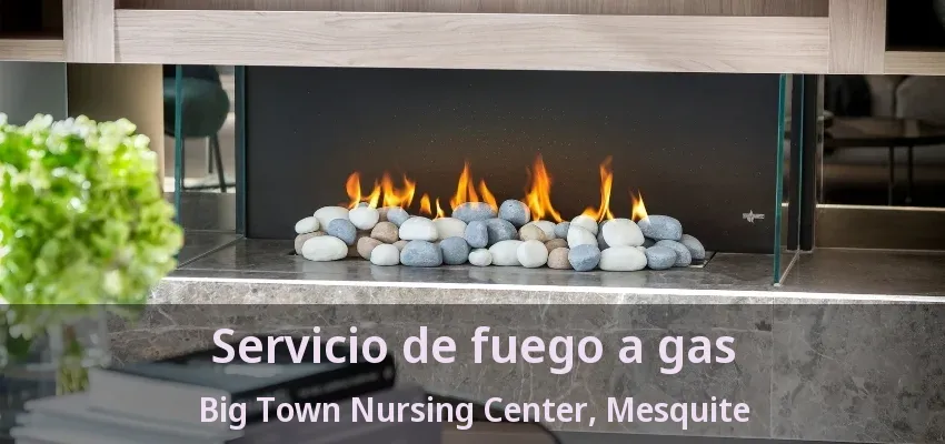 Servicio de fuego a gas Big Town Nursing Center, Mesquite - TX Servicio de fuego a gas Big Town Nursing Center, Mesquite - TX
