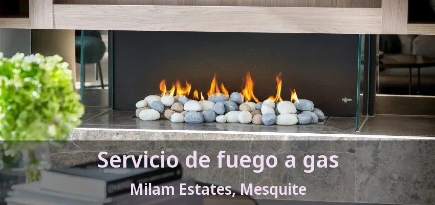 Servicio de fuego a gas Milam Estates, Mesquite - TX Servicio de fuego a gas Milam Estates, Mesquite - TX