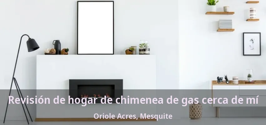 Revisión de hogar de chimenea de gas cerca de mí Oriole Acres, Mesquite - TX