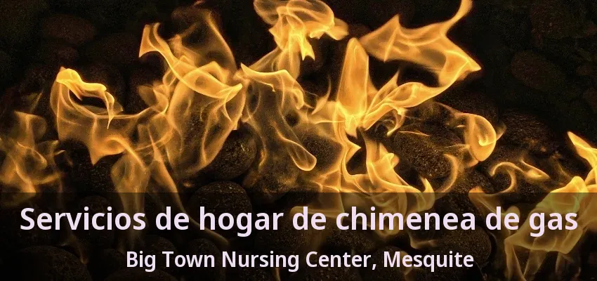 Servicios de hogar de chimenea de gas Big Town Nursing Center, Mesquite - TX Servicios de hogar de chimenea de gas Big Town Nursing Center, Mesquite - TX