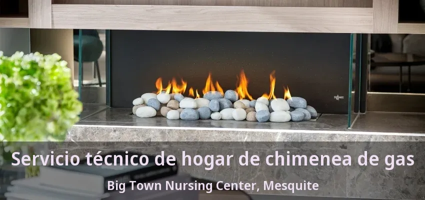 Servicio técnico de hogar de chimenea de gas Big Town Nursing Center, Mesquite - TX Servicio técnico de hogar de chimenea de gas Big Town Nursing Center, Mesquite - TX