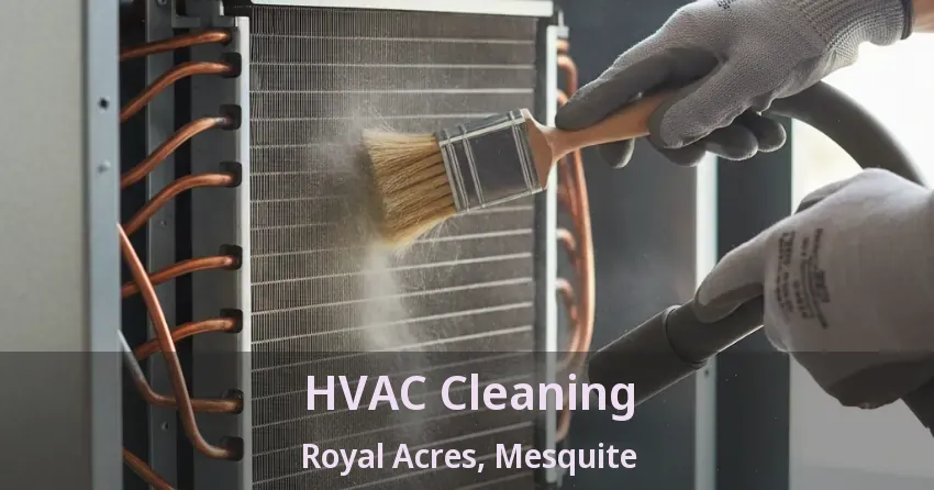 HVAC Cleaning Royal Acres, Mesquite - TX