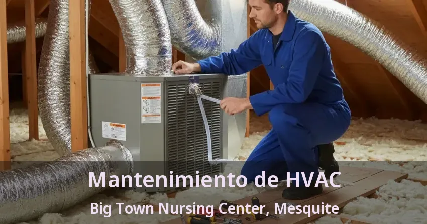 Mantenimiento de HVAC Big Town Nursing Center, Mesquite - TX Mantenimiento de HVAC Big Town Nursing Center, Mesquite - TX