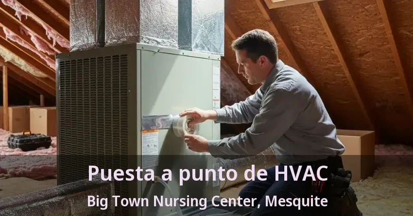 Puesta a punto de HVAC Big Town Nursing Center, Mesquite - TX