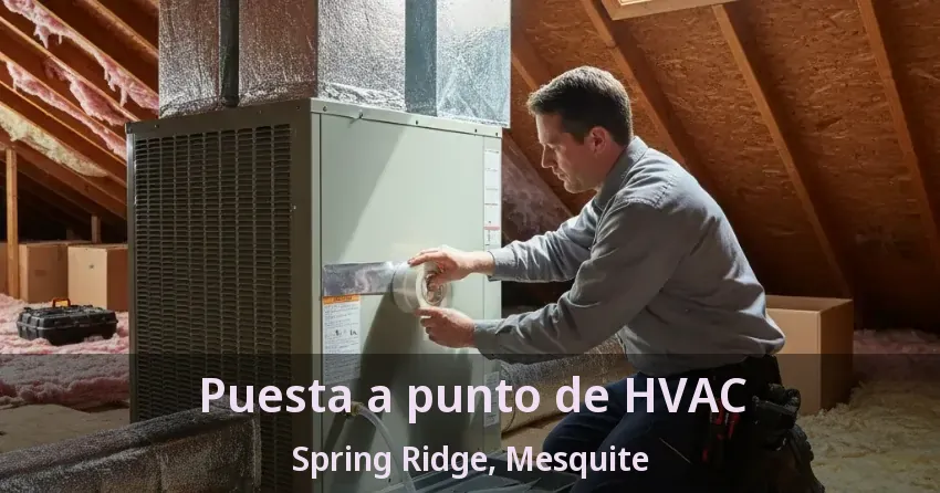 Puesta a punto de HVAC Spring Ridge, Mesquite - TX Puesta a punto de HVAC Spring Ridge, Mesquite - TX