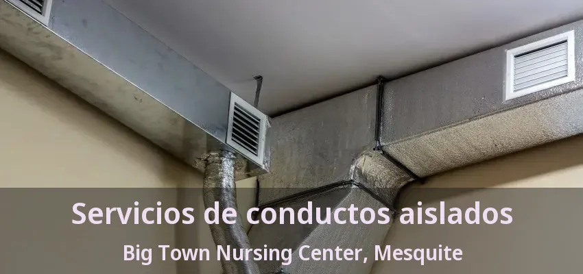 Servicios de conductos aislados Big Town Nursing Center, Mesquite - TX Servicios de conductos aislados Big Town Nursing Center, Mesquite - TX