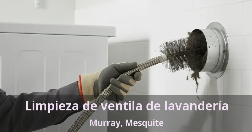 Limpieza de ventila de lavandería Murray, Mesquite - TX Limpieza de ventila de lavandería Murray, Mesquite - TX