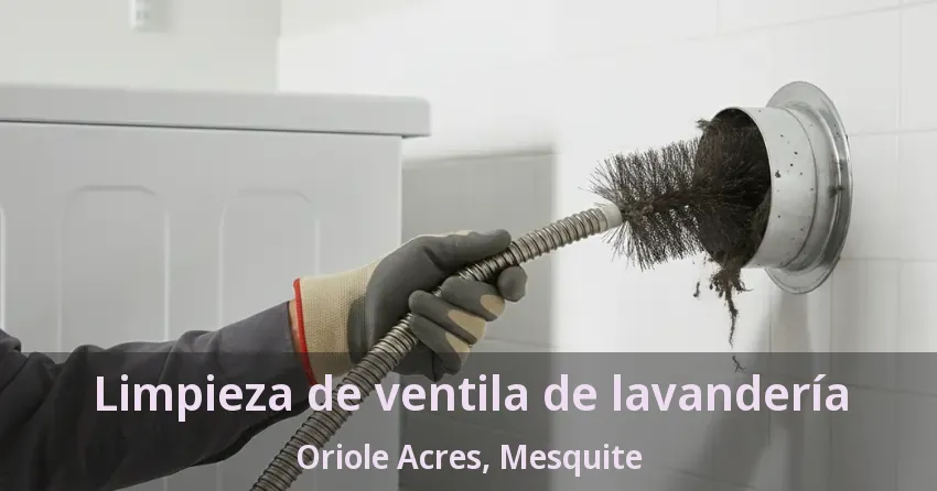 Limpieza de ventila de lavandería Oriole Acres, Mesquite - TX Limpieza de ventila de lavandería Oriole Acres, Mesquite - TX