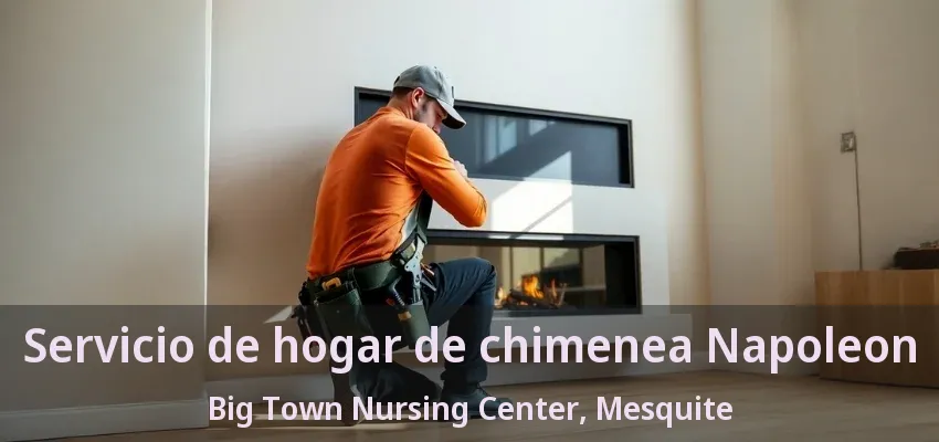 Servicio de hogar de chimenea Napoleon Big Town Nursing Center, Mesquite - TX Servicio de hogar de chimenea Napoleon Big Town Nursing Center, Mesquite - TX