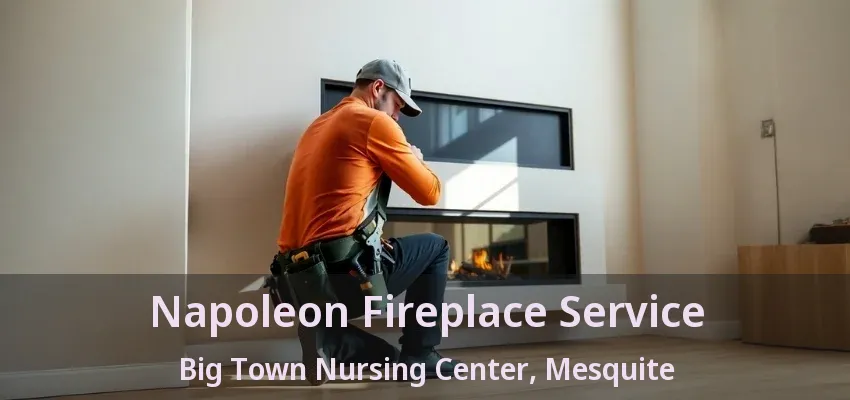 Napoleon Fireplace Service Big Town Nursing Center, Mesquite - TX