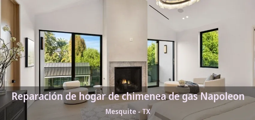 Reparación de hogar de chimenea de gas Napoleon Mesquite - TX