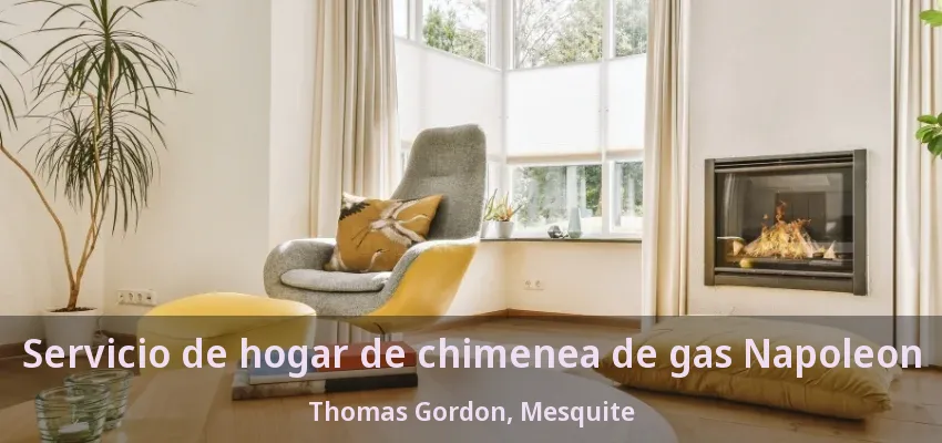 Servicio de hogar de chimenea de gas Napoleon Thomas Gordon, Mesquite - TX Servicio de hogar de chimenea de gas Napoleon Thomas Gordon, Mesquite - TX
