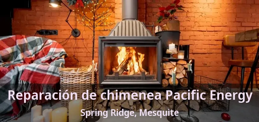 Reparación de chimenea Pacific Energy Spring Ridge, Mesquite - TX