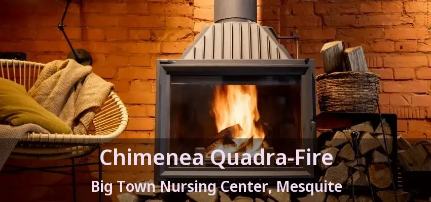 Chimenea Quadra-Fire Big Town Nursing Center, Mesquite - TX Chimenea Quadra-Fire Big Town Nursing Center, Mesquite - TX