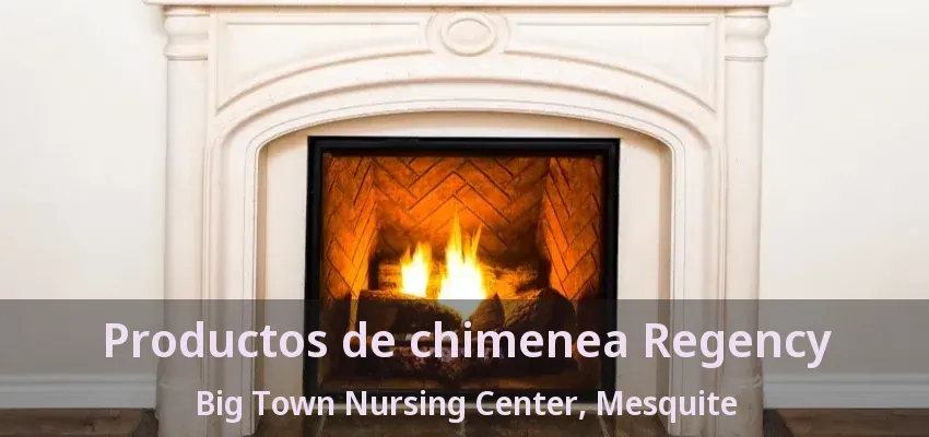 Productos de chimenea Regency Big Town Nursing Center, Mesquite - TX Productos de chimenea Regency Big Town Nursing Center, Mesquite - TX