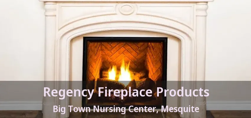 Regency Fireplace Products Big Town Nursing Center, Mesquite - TX Regency Fireplace Products Big Town Nursing Center, Mesquite - TX