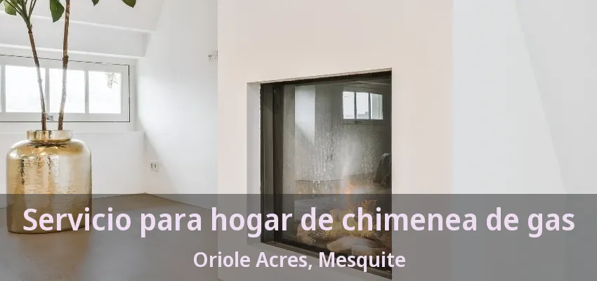 Servicio para hogar de chimenea de gas Oriole Acres, Mesquite - TX Servicio para hogar de chimenea de gas Oriole Acres, Mesquite - TX