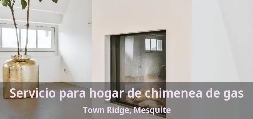 Servicio para hogar de chimenea de gas Town Ridge, Mesquite - TX Servicio para hogar de chimenea de gas Town Ridge, Mesquite - TX
