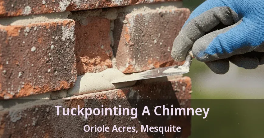 Tuckpointing A Chimney Oriole Acres, Mesquite - TX Tuckpointing A Chimney Oriole Acres, Mesquite - TX