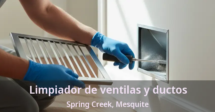 Limpiador de ventilas y ductos Spring Creek, Mesquite - TX