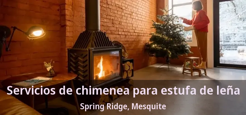 Servicios de chimenea para estufa de leña Spring Ridge, Mesquite - TX